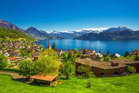 профессиональные программы